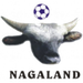 Nagaland football club logo and badge